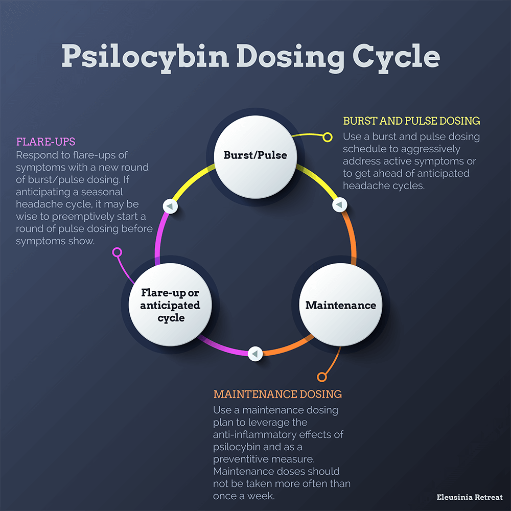 Psilocybin Dosing Cycle Infographic
