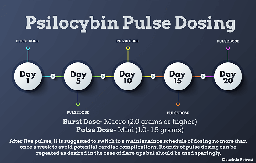 psilocybin pulse dose infographic