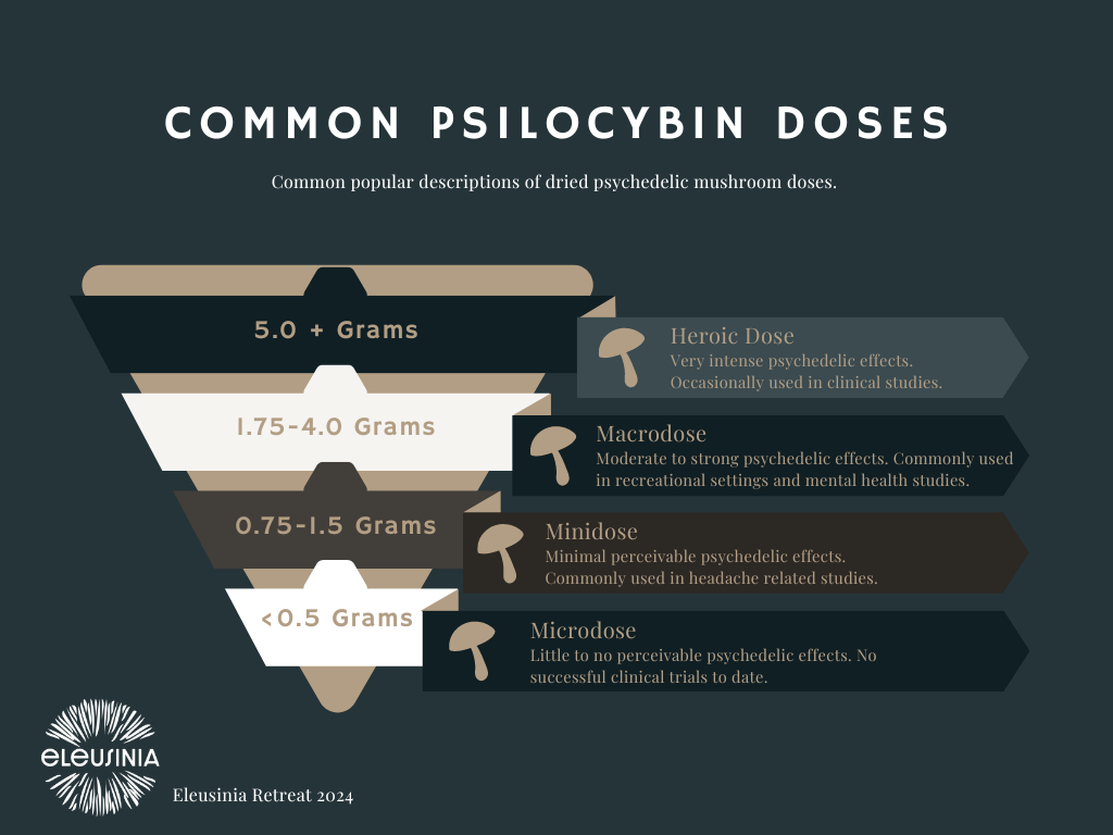 psilocybin dosing