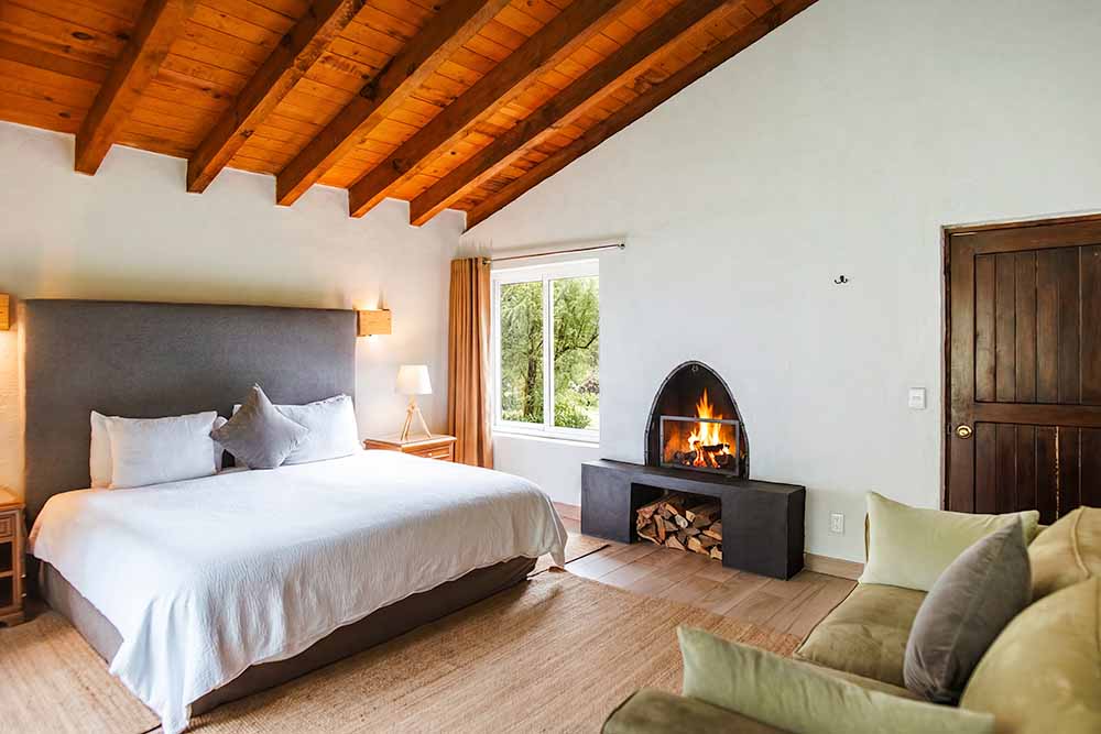 psilocybin retreat room