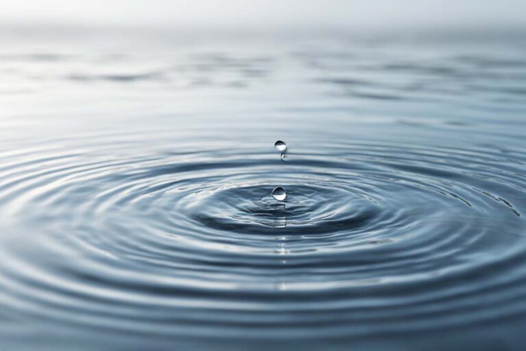 psychedelic mania and psychosis