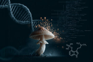 psychedelic biohacking 2